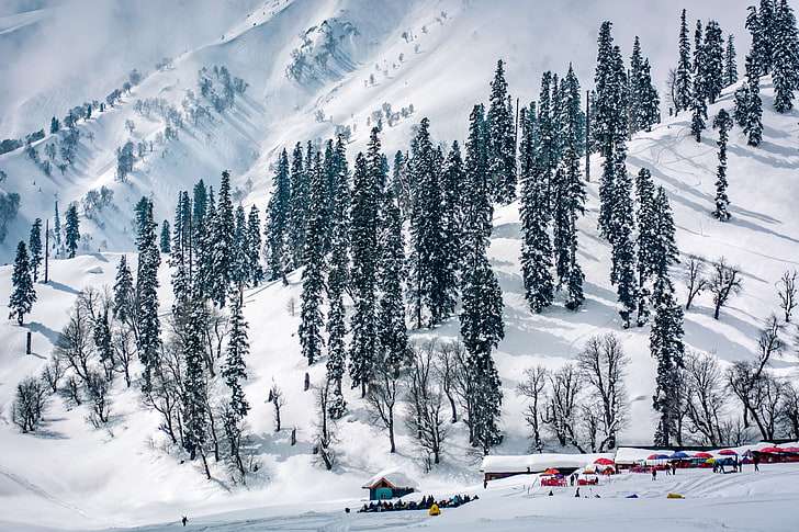 Gulmarg : A Must-Visit Hill Station in Kashmir