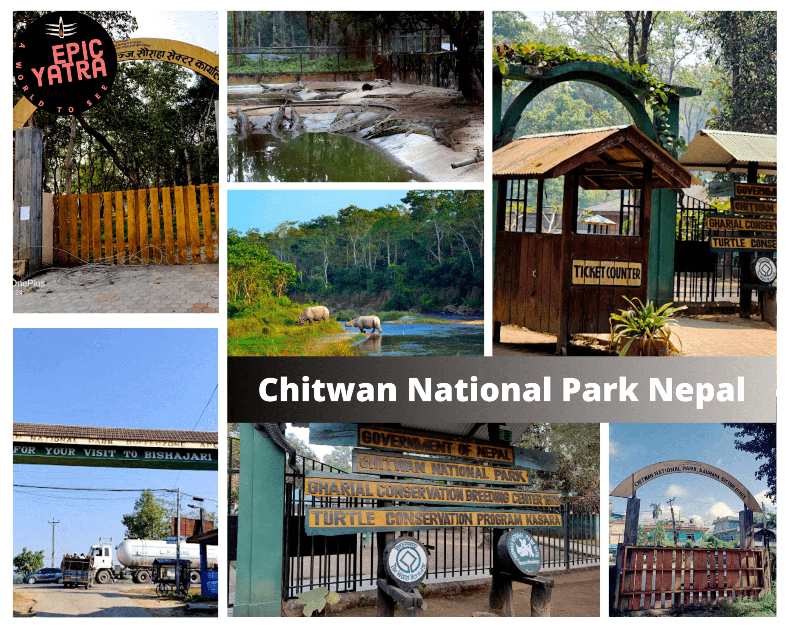 chitwan national park (1)